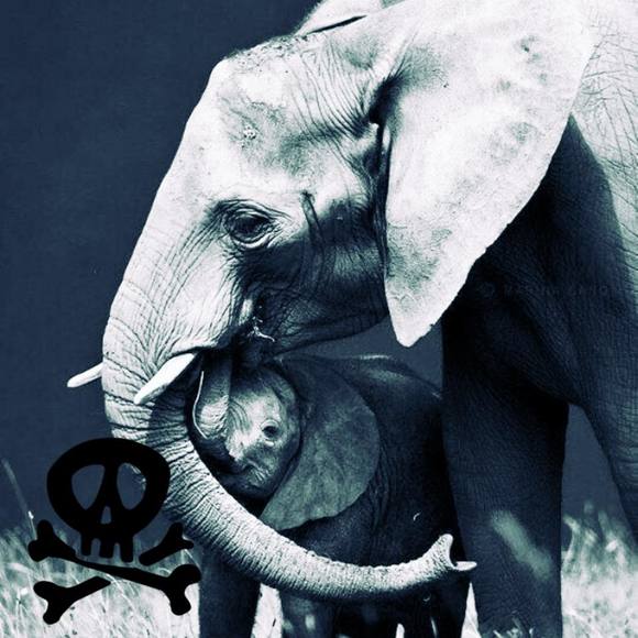 Meet your Posher, Shawn - Picture 1 of 1